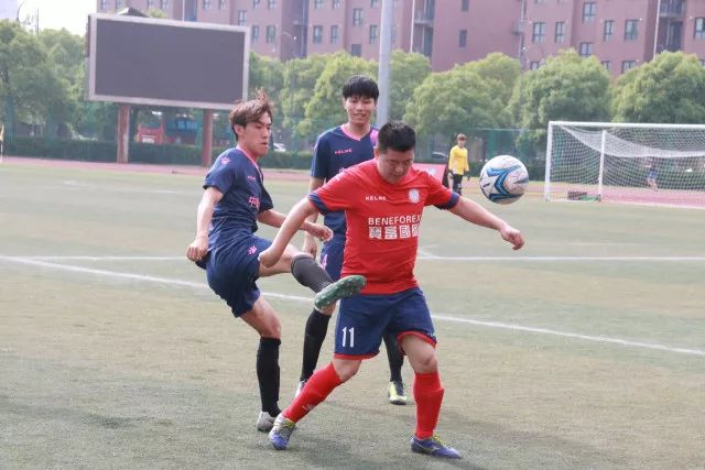 头号玩家龙8应用下载